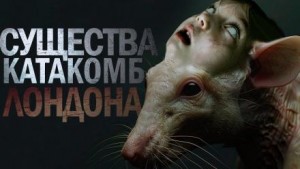 Крысиный король - Максим Кабир